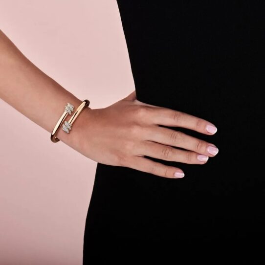 TB2202D2P-model-wrist