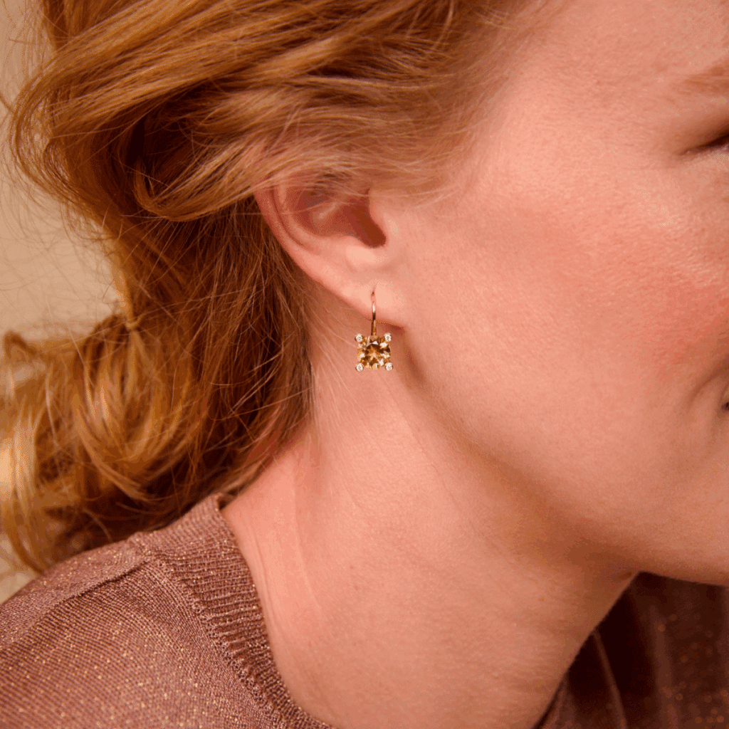 Bron Phlox roségouden oorsieraad met citrien en diamant 8OR4755CIBR