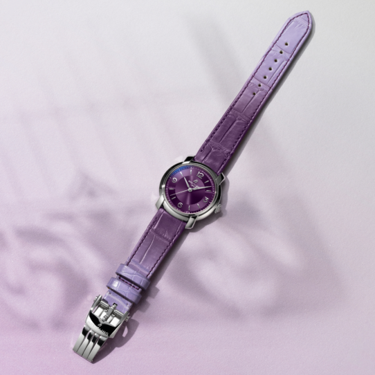 A10310121Q1P1 strap