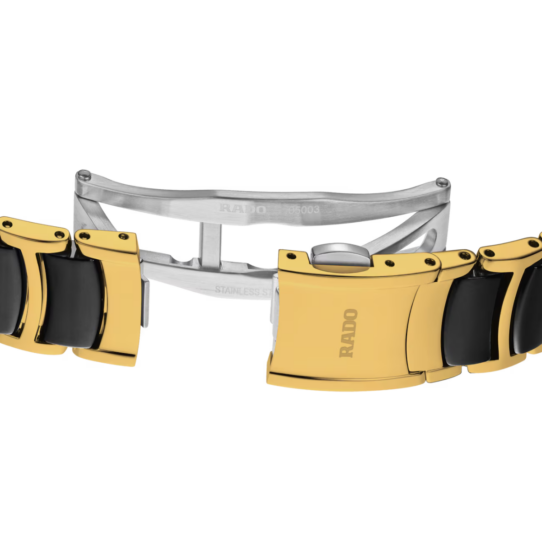 R30025742 strap