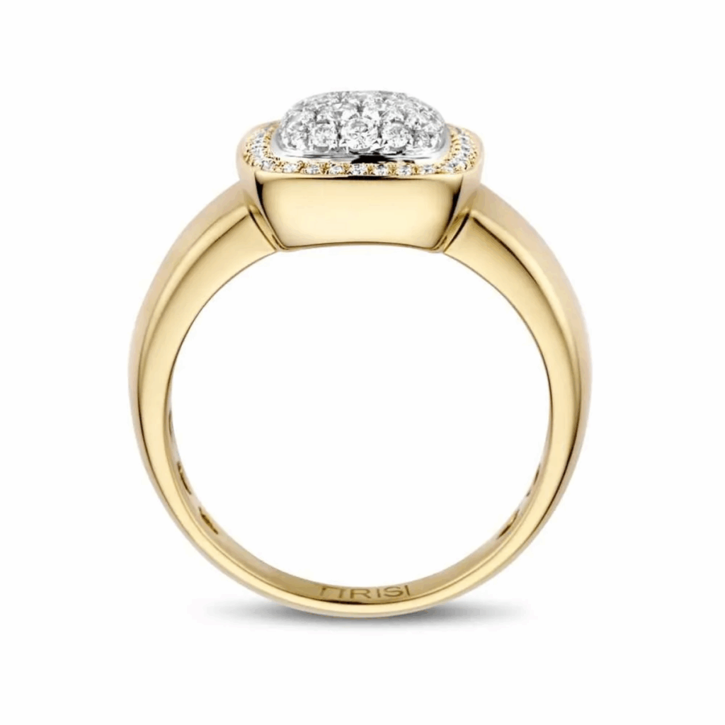 Tirisi Jewelry 18 karaat geelgouden ring met diamant TR9762D(2T)